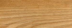 teak-300x117
