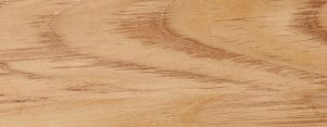 TP_Teak