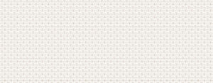 PS_Jaipur_white