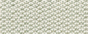 PS_calcutta_green